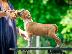 PoulaTo: Κουτάβια American Staffordshire Terrier